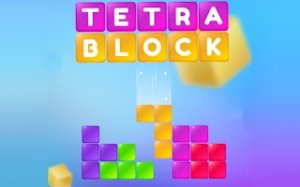 Shape Fit Puzzle Game