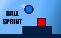 Ball Sprint - Endless Arcade Runner Online Game