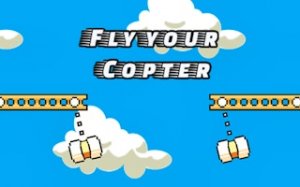Sky Bird Journey