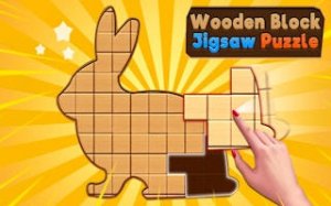 Wooden Block Puzzle Challenge